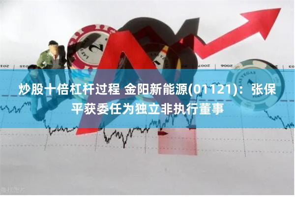 炒股十倍杠杆过程 金阳新能源(01121)：张保平获委任为独立非执行董事