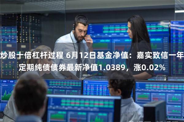 炒股十倍杠杆过程 6月12日基金净值：嘉实致信一年定期纯债债券最新净值1.0389，涨0.02%