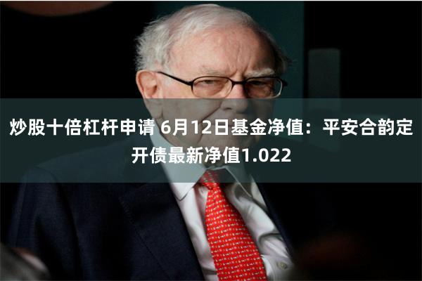炒股十倍杠杆申请 6月12日基金净值：平安合韵定开债最新净值1.022