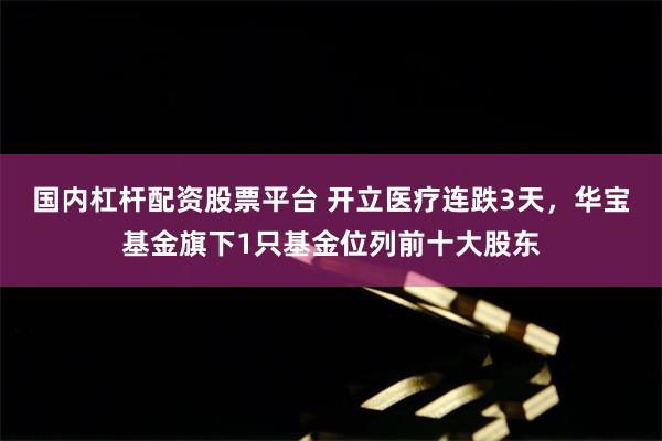 国内杠杆配资股票平台 开立医疗连跌3天，华宝基金旗下1只基金位列前十大股东