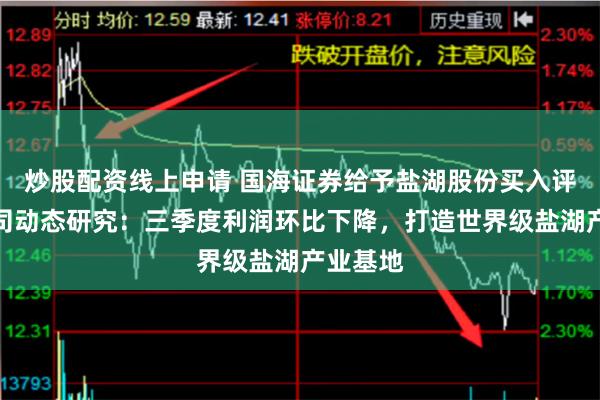 炒股配资线上申请 国海证券给予盐湖股份买入评级，公司动态研究：三季度利润环比下降，打造世界级盐湖产业基地